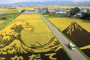 Choáng ngợp trước nghệ thuật Tanbo của Nhật Bản