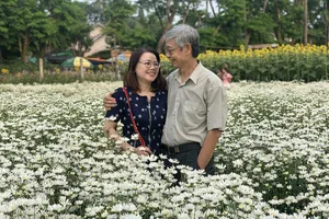 Vườn cúc họa mi trái mùa - điểm đến giải nhiệt mùa hè tại xứ Quảng 