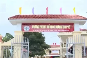 ‘Bất thường bữa ăn bán trú vùng cao’: Bạn đọc căm phẫn!