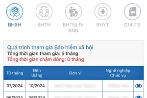 Luật BHXH 2024, được tạm dừng đóng BHXH bắt buộc khi nào?