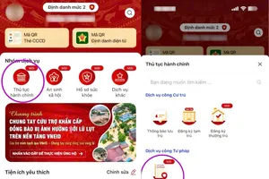 TP.HCM: Từ 1-3, xin phiếu lý lịch tư pháp ở đâu, như thế nào?