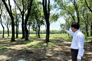 Thắng kiện hành chính xong vẫn phải trần ai chờ cấp sổ hồng 