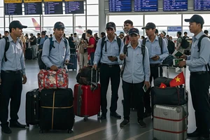 Làm việc tại Hàn Quốc theo visa E7, F2: Quyền hưởng BHXH một lần được xác định thế nào?