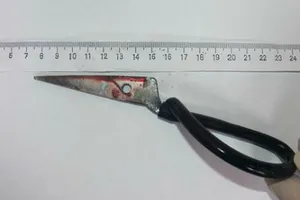 Đâm chết bạn nhậu vì mở loa quá to 