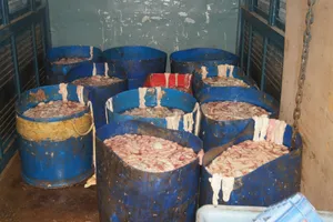 Nửa tấn lòng heo bốc mùi hôi thối tiêu thụ tại chợ