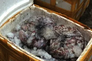 Bắt hơn 1 tấn cá, mực thối chuẩn bị vào TP.HCM tiêu thụ