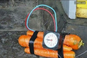 Nhà 1 phụ nữ đơn thân ở Đồng Nai bị đặt mìn 