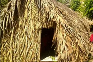 Giải cứu 2 cô gái trong quán cà phê kích dục