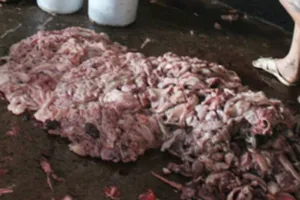 Phát hiện cơ sở nấu mỡ động vật bẩn, bốc mùi hôi thối