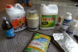 14 tấn sầu riêng nghi ngâm hóa chất trước khi bán