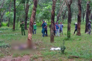 Thi thể người đàn ông chết cháy trong lô cao su ở Đồng Nai