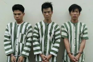 Nghi can cướp ô tô ở Đồng Nai bằng súng bị bắt