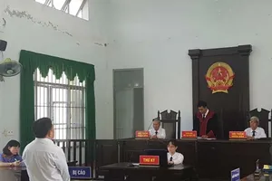 Tòa trả hồ sơ vụ ‘ném vỡ kính xe hơi' vì vi phạm tố tụng