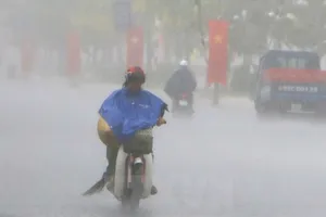 Đồng Nai, Bình Dương ra công điện khẩn ứng phó với bão số 9