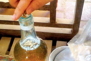 Tưởng giúp hàng xóm trả tiền, người phụ nữ bị lừa 16 triệu