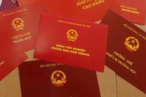 Đồng Nai: Một Trưởng phòng Tài nguyên dùng bằng giả