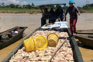 Hàng chục tấn cá chết trắng sông La Ngà