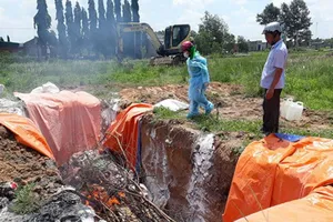 Đồng Nai: Khởi tố vụ trữ 4,2 tấn thịt heo nhiễm dịch tả 