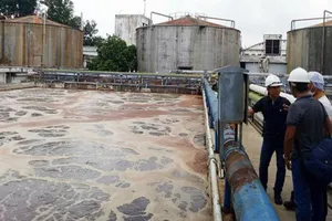 Tạm đình chỉ vô thời hạn đối với Công ty AB Mauri Việt Nam