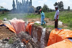 Dịch tả heo châu Phi đã lan rộng 73 xã ở Đồng Nai