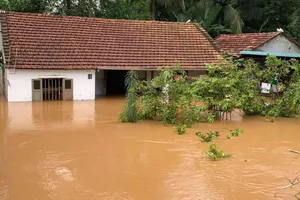 Xác định nguyên nhân ngập lụt khủng khiếp ở Đồng Nai