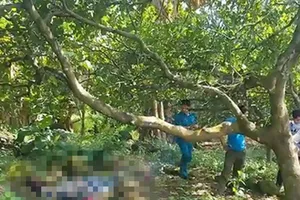 Người đàn ông làm nghề môi giới chết bất thường trong rẫy