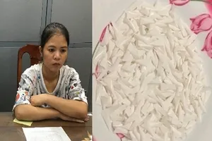 Bắt người mẹ nuôi con nhỏ kiêm đầu nậu bán ma túy 