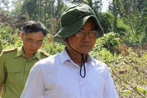 Lãnh đạo khu bảo tồn ở Đồng Nai nói về việc cây rừng bị hạ