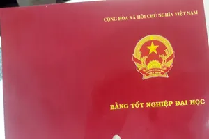 Đồng Nai: Nữ 'bác sĩ dỏm' dùng hai bằng giả để hành nghề