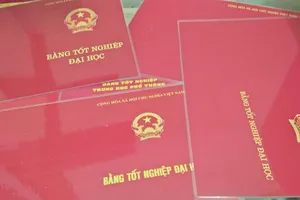 Đồng Nai: 1 chủ tịch phường có bằng Đại học trước bằng cấp 3