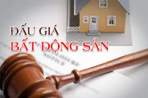 Đồng Nai: Bán đấu giá 2 khu đất 'vàng' gần 3.000 tỉ đồng