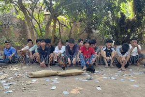 Đồng Nai: Triệt phá trường gà của Tuấn 'Bao công'