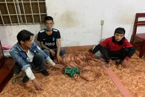 Trộm cáp hệ thống camera đường cao tốc mang đi bán ve chai