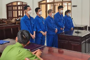 Người phụ nữ cùng tình nhân trẻ cầm đầu đường dây mua bán ma túy 