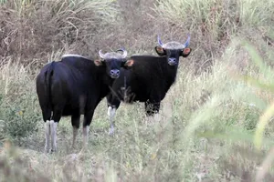 Tỉnh Đồng Nai không đồng ý làm cầu Mã Đà và đường nối Đồng Nai - Bình Phước