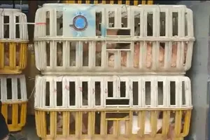 CSGT Đồng Nai bắt xe tải chở hàng trăm con chó, mèo đi tiêu thụ