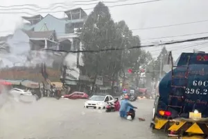 Đồng Nai: Mưa lớn, nhiều tuyến đường ngập sâu và ùn tắc