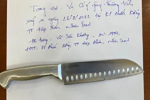 Bị con trai chém vì trộm tiền đi mua ma túy 