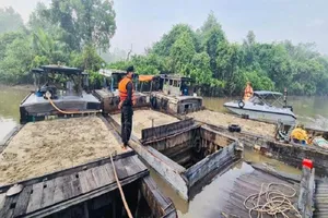 Bị công an truy đuổi, 'cát tặc' nhảy xuống sông Đồng Nai