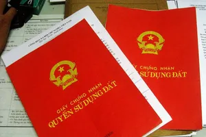 Cán bộ Tư pháp phường giả chữ ký, dấu vân tay trong hợp đồng chuyển nhượng