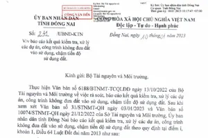 Đồng Nai xử lý 65 dự án không đưa đất vào sử dụng, chậm tiến độ 