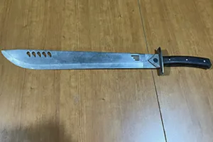 161 Đồng Nai bắt giữ nhóm thanh niên đi truy sát gia đình tiểu thương 