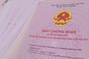 Khởi tố nguyên Chủ tịch phường ở Đồng Nai 'tiếp tay' làm giả giấy tờ 50 thửa đất 