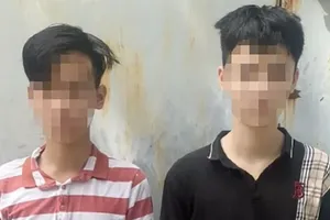 Hai thiếu niên chém, cướp tài sản của nhân viên giao hàng