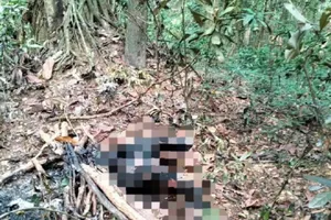 Thi thể người đàn ông bị cháy đen trong rừng