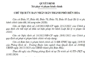 Đồng Nai: Xử phạt 1 doanh nghiệp xây dựng không phép 4 khu nhà xưởng