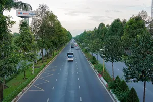 Bộ Công an đề nghị Đồng Nai cung cấp hồ sơ liên quan Công ty TNHH Cây xanh Công Minh