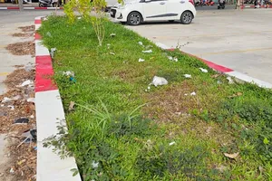 Đồng Nai: Bãi đậu xe lớn nhất TP Biên Hòa nhếch nhác vì không có thùng rác