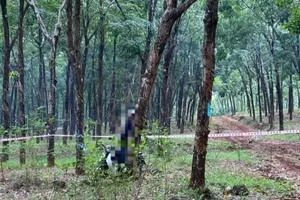 Người đàn ông chết trong tư thế treo cổ ở vườn cao su