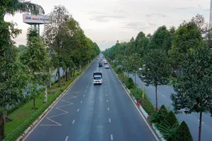 Đồng Nai lập Hội đồng định giá tài sản trong vụ án Công ty cây xanh Công Minh 